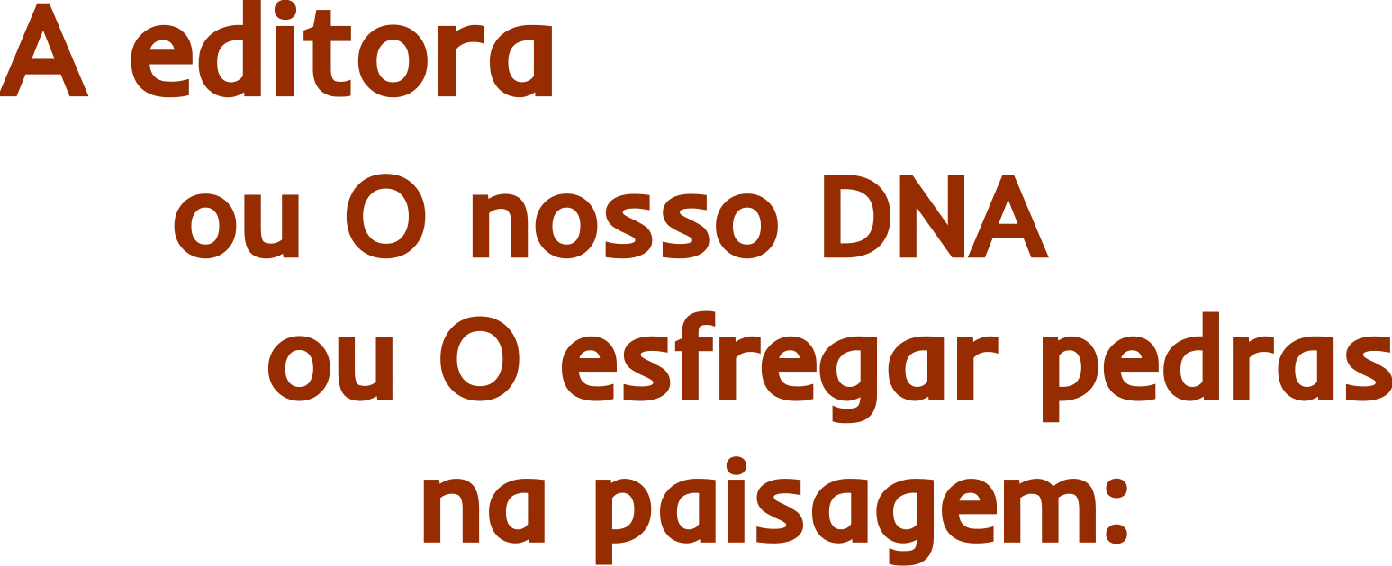 A editora — ou O nosso DNA, ou O esfregar pedras na paisagem